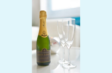  Appartement de Plainpalais - 7