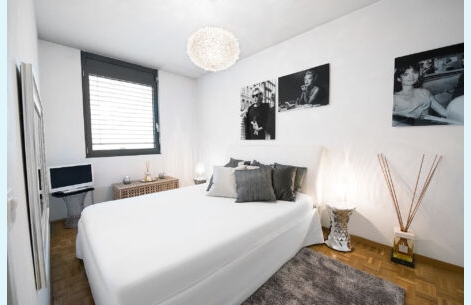  Appartement de Plainpalais - 6