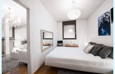  Appartement de Plainpalais - 5