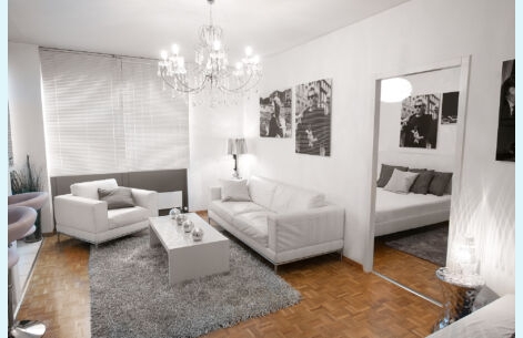  Appartement de Plainpalais - 1