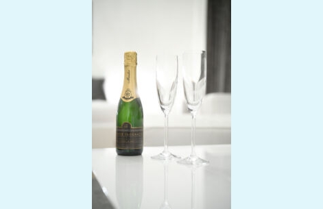 Appartement de Malagnou - 9